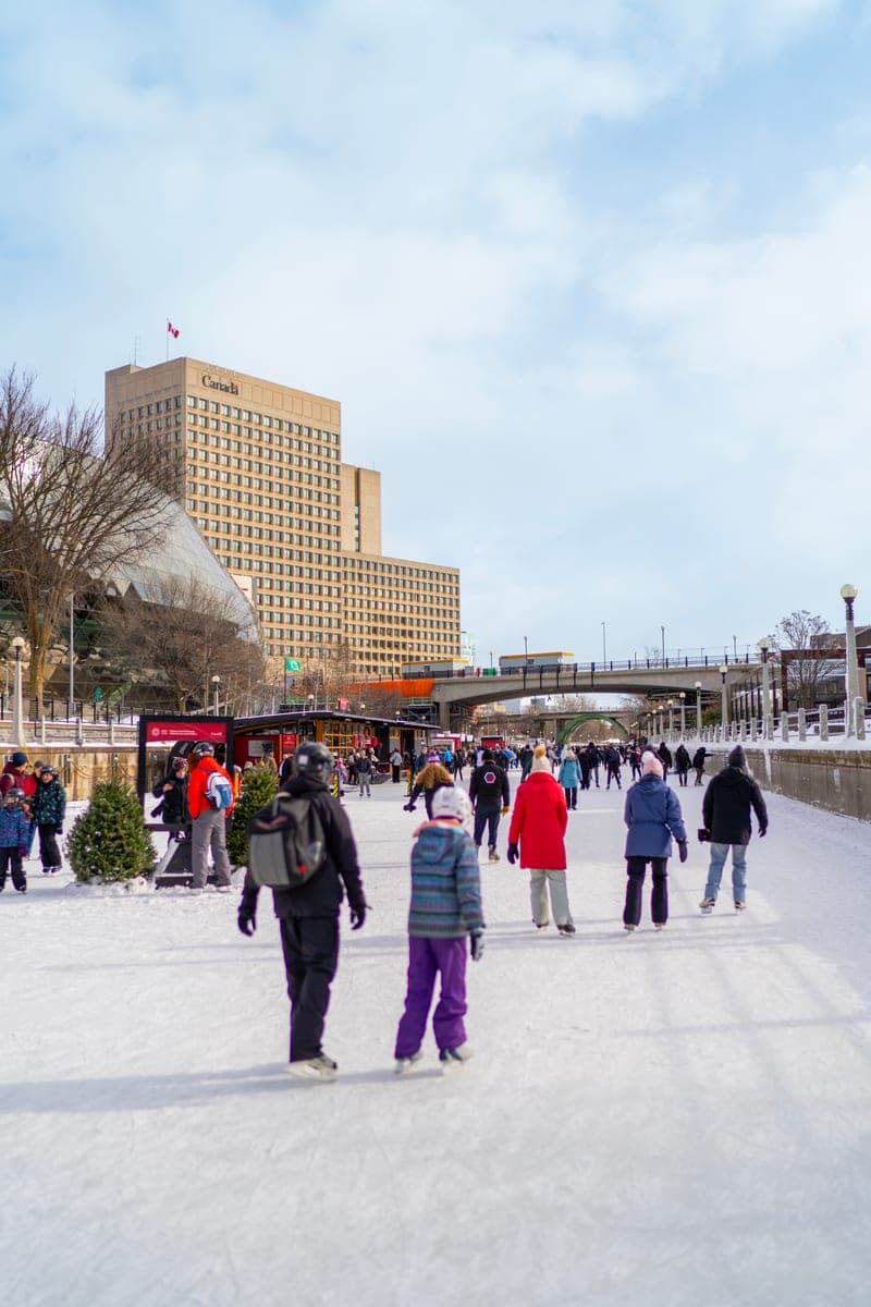 Skaters on an outdoor winter skating surface